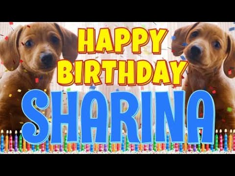 Happy Birthday Sharina! ( Funny Talking Dogs ) What Is Free On My Birthday