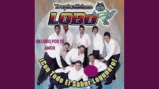 03 un lobo por tu amor