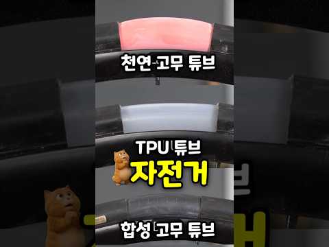 자덕도 잘못 알고 있는 로드 자전거 