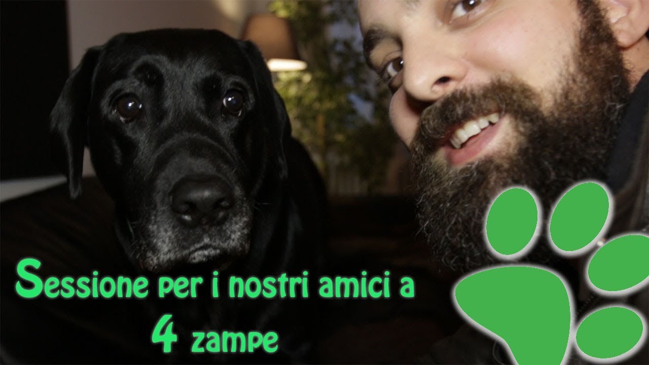 CONTATTO CON I NOSTRI AMICI ANIMALI NELL'ALTRA DIMENSIONE