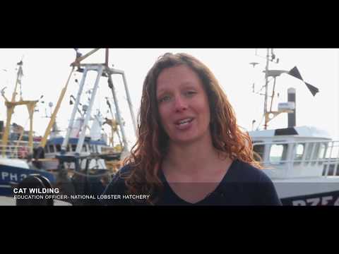 FILM 1 Our Seas Fishing methods and their impacts