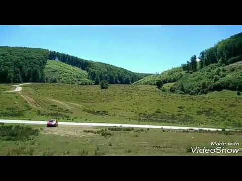 Damis -Bratca  loc minunat