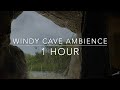 Take Refuge from the Heavy Rain in a Cave - 1 hour Windy Cave Ambience - Howling Wind, Cave Rain