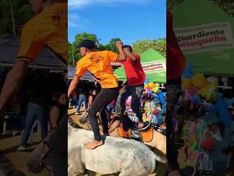 Carreras a caballos en San Andrés de Sotavento en honor a Santa Ana 2025-1