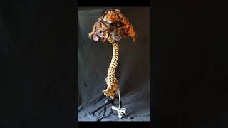 Ed Gein...  tiktok  @true.crime.art.studio