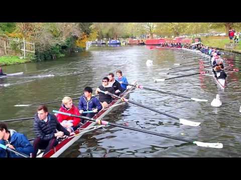 Excessive rowing races are harming wildlife in Cambridge