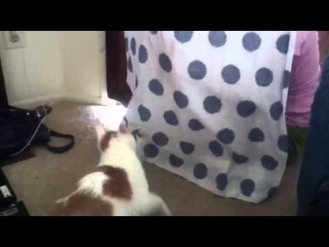 Yeah.. That's our favorite game