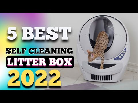 The 5 Best Self Cleaning Litter Box of 2022