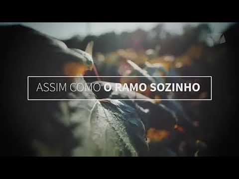 Deixa Deus dirigir sua vida.