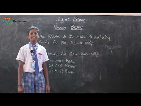 SVP moment
