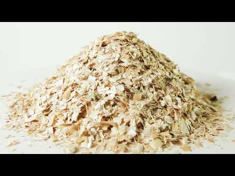Фасоль створки