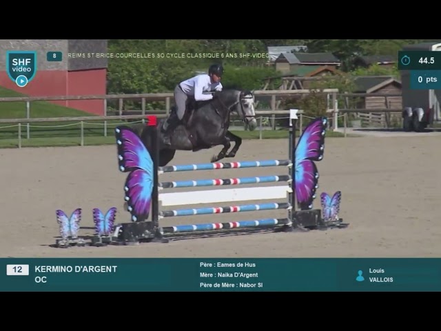 Hongre de 6 ans - 1m65