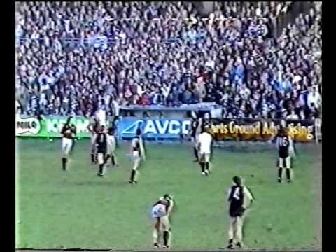 VFL R20 1981 - Carlton v Essendon