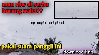 Download lagu SP Black Magic Original Suara Panggil burung walet... mp3