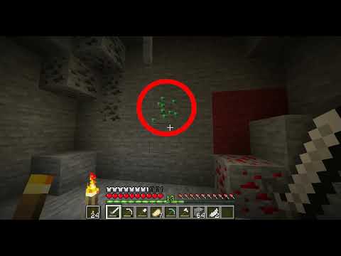 minceraft emderald aurmor speedran