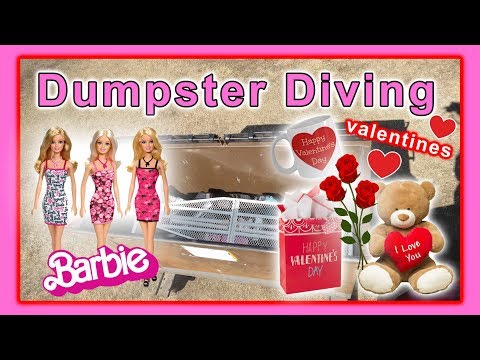 Dumpster Diving at Thrift Store #116