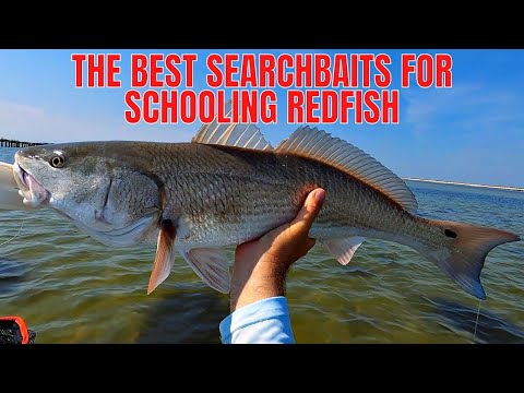 The Best Lures To Search For & Find Hidden Schools Of Redfish