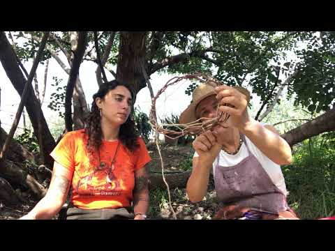 How to make a dream catcher, forest school training video.