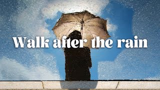 【Inst】Walk after the rain【オリジナル曲】