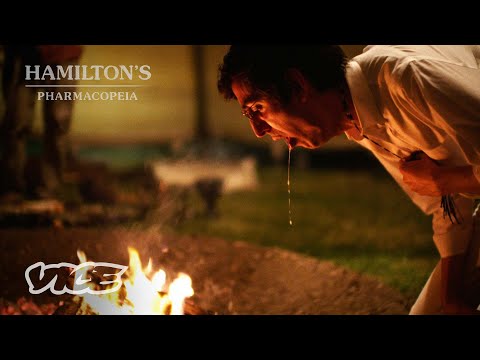 Hamilton Morris Spews After Taking Peyote | HAMILTON'S PHARMACOPEIA