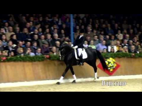 Schockemoehle Hengstkollektion 2014 Danciano deutsch