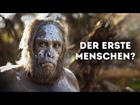 Evolution des Menschen Dokumentarfilm