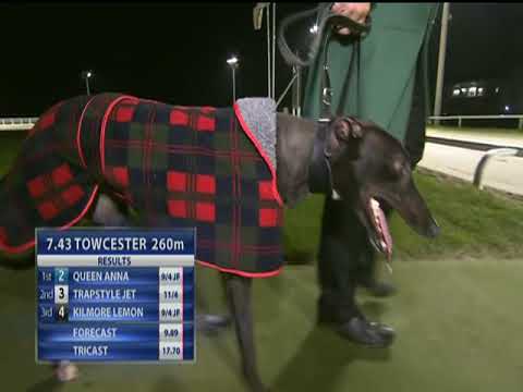 2017 ECC TIMBER SPRINT - T2 QUEEN ANNA