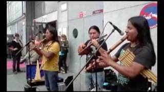 Flutes de Pan des Andes,