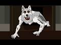 3 True Pet Horror Stories Animated