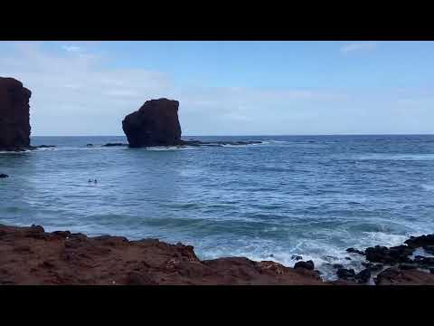 Surfers at Sweetheart Rock