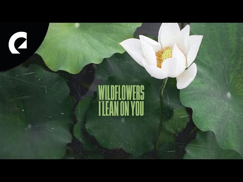 Wildflowers ft. Christine Smit - I Lean On You