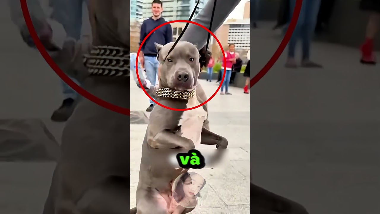 Cậu bé đã mắc 1 sai lầm lớn #shorts