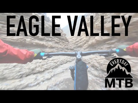 Montrose County Eagle Web