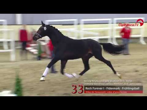 33  Rock Forever - Fidermark - Frühlingsball