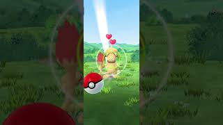 ✨✨✨ Shiny Smeargle in Wild #pokemongo #shinypokemon #smeargle #pokemoncommunity #johto #gen2 #shiny