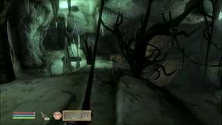 Let's Play Oblivion Part 19 - Fighter of the Invisible