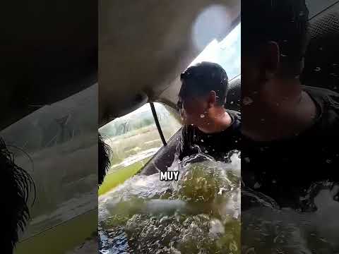 ¡Nunca Hagas Esto Si Tu Auto Se Está Hundiendo!