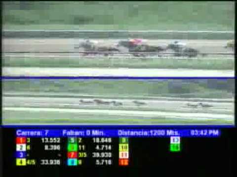 7MA CARRERA DOM 23 SEPTIEMBRE LA RINCONADA AUDIOHIPISMO