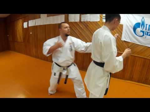 Uechi-ryu karate / JIYU-KUMITE / Free Sparing combinations 1