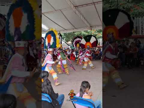 Danza de la Pluma de San Agustín de las Juntas #danzadelapluma #oaxaca #guelaguetza #mexico #dance