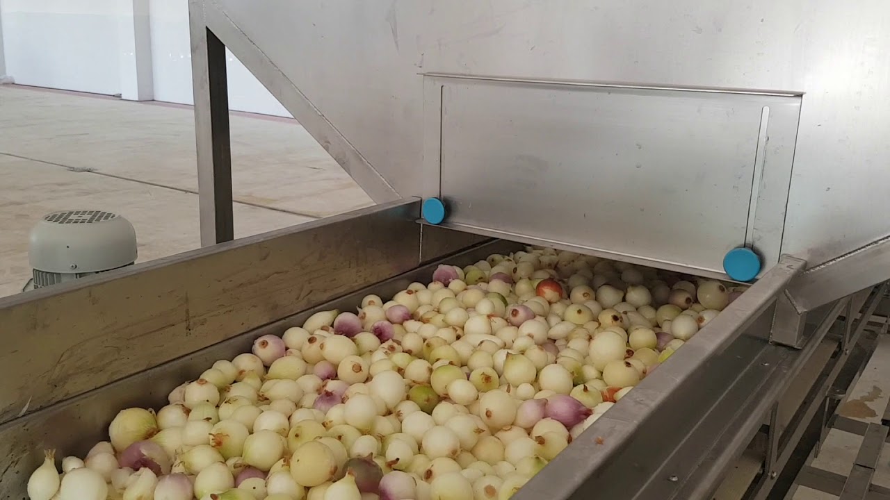 Onions flame peeling&drying