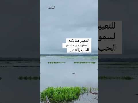 لوحة فنية طبيعية عملاقة لصاحب السمو الشيخ محمد بن راشد آل مكتوم أبدعتها أنامل فنان هندي