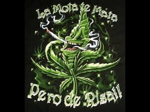 Marihuanos Everyday - KDB Rap