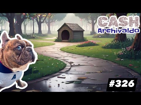 French Bulldog CASH ARCHIVALDO #326 Paseos, moda y momentos divertidos Hoodie day