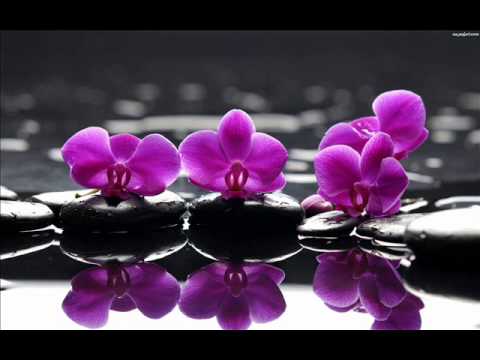 Anthony Mode & Gavin Bell & Pat Stone - Carry Me