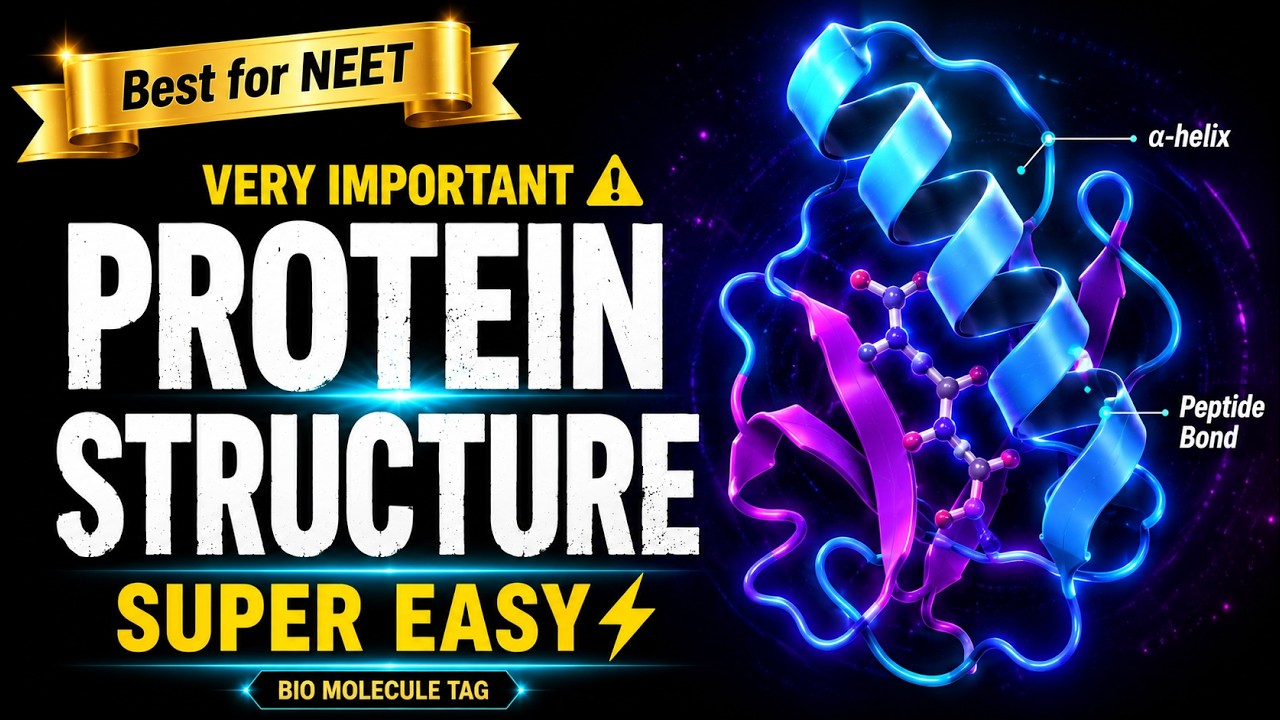 CBSE Class 11 Biology || Protein and its Structure || By Shiksha House