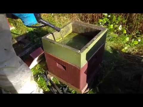 LP's Biodling - Stödfodring