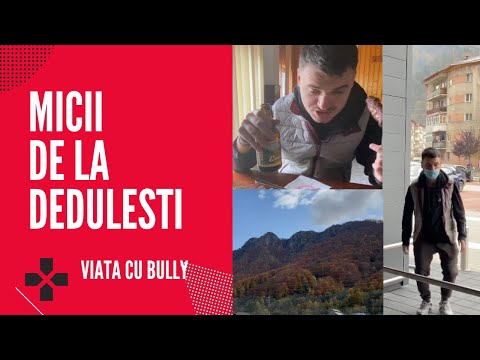 MICII DE LA DEDULESTI - Review la mancare romaneasca - Viata cu Bully - 6 noiembrie 2020 - clip 6/30