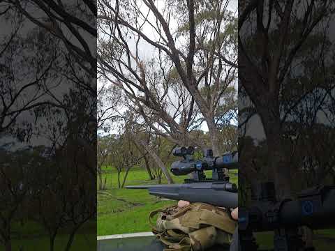 Disassembled Field-Stripped