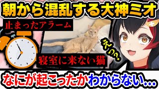 朝ミオを寝坊しかけた大神ミオだったが...【 #ホロライブ #hololive #切り抜き #大神ミオ #猫 #兎田ぺこら #白銀ノエル 】